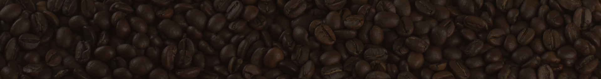 fotoğraf açıklaması